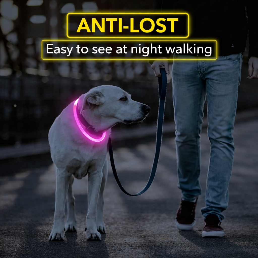 LED Dog Collar