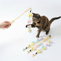 Interactive Feather Cat Toy with Catnip – 2-in-1 Fun Toy