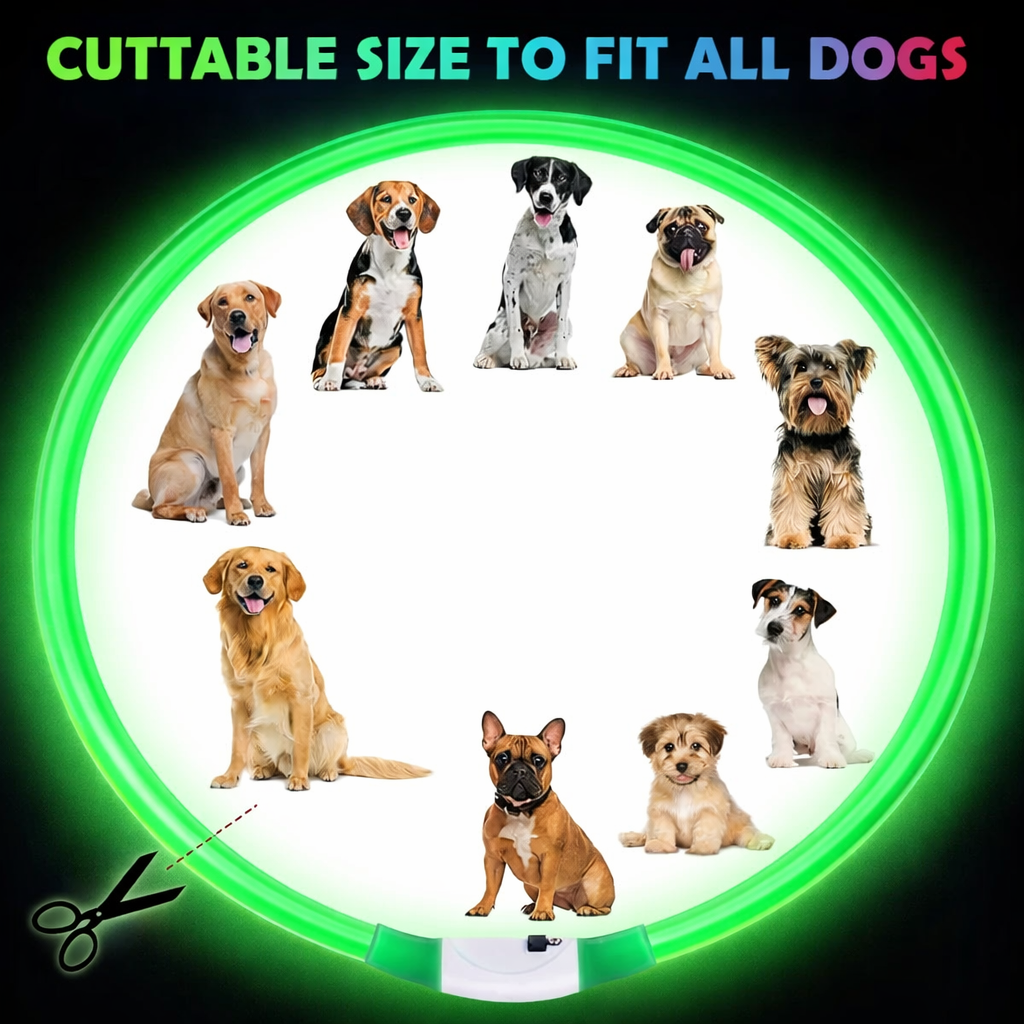 LED Dog Collar