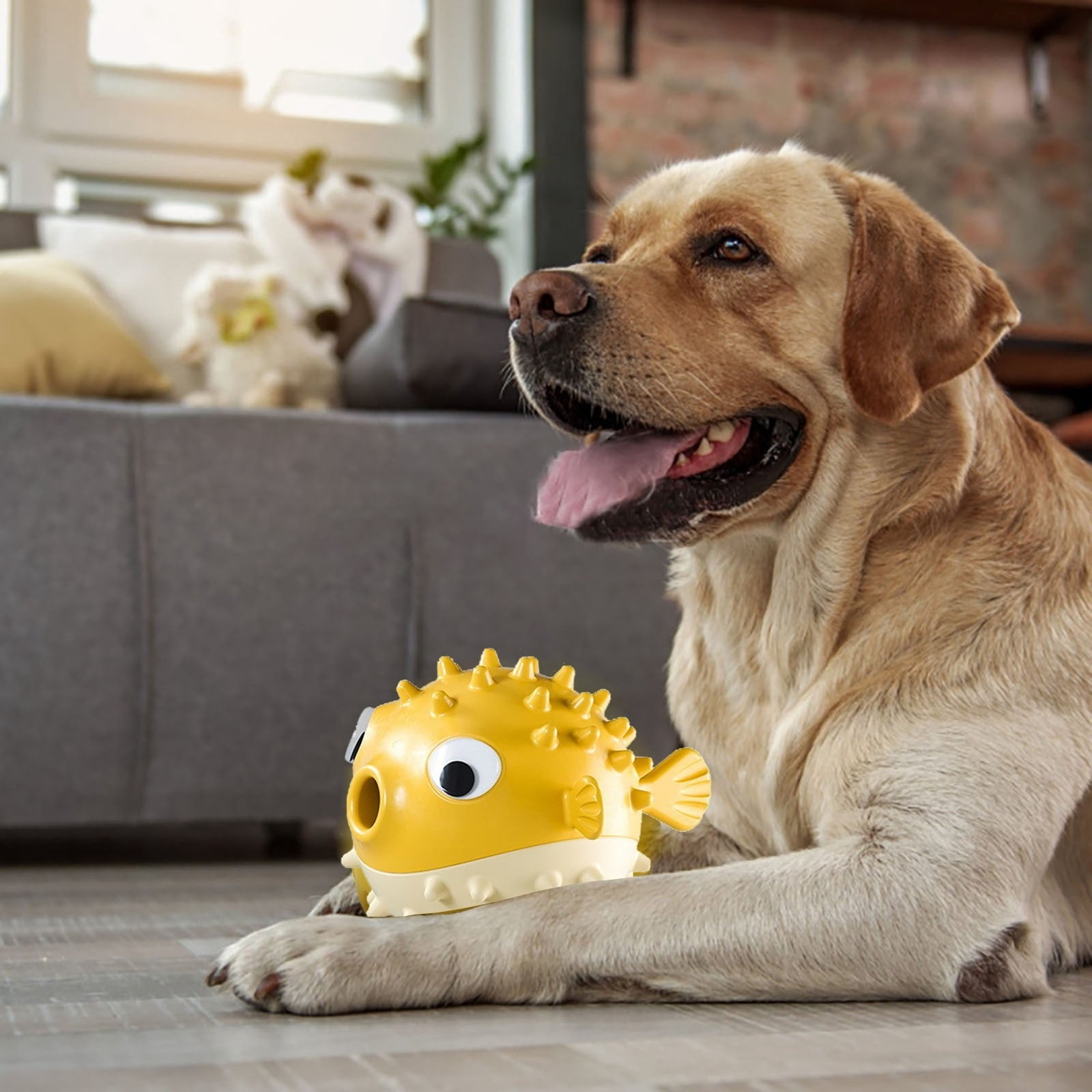 Bouncy Fish Treat Ball – Sound & Chew Toy for Dogs