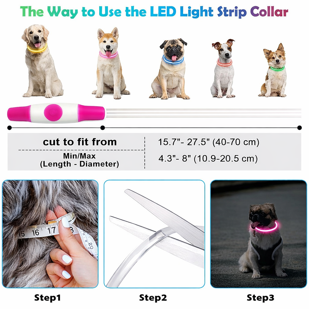 LED Dog Collar