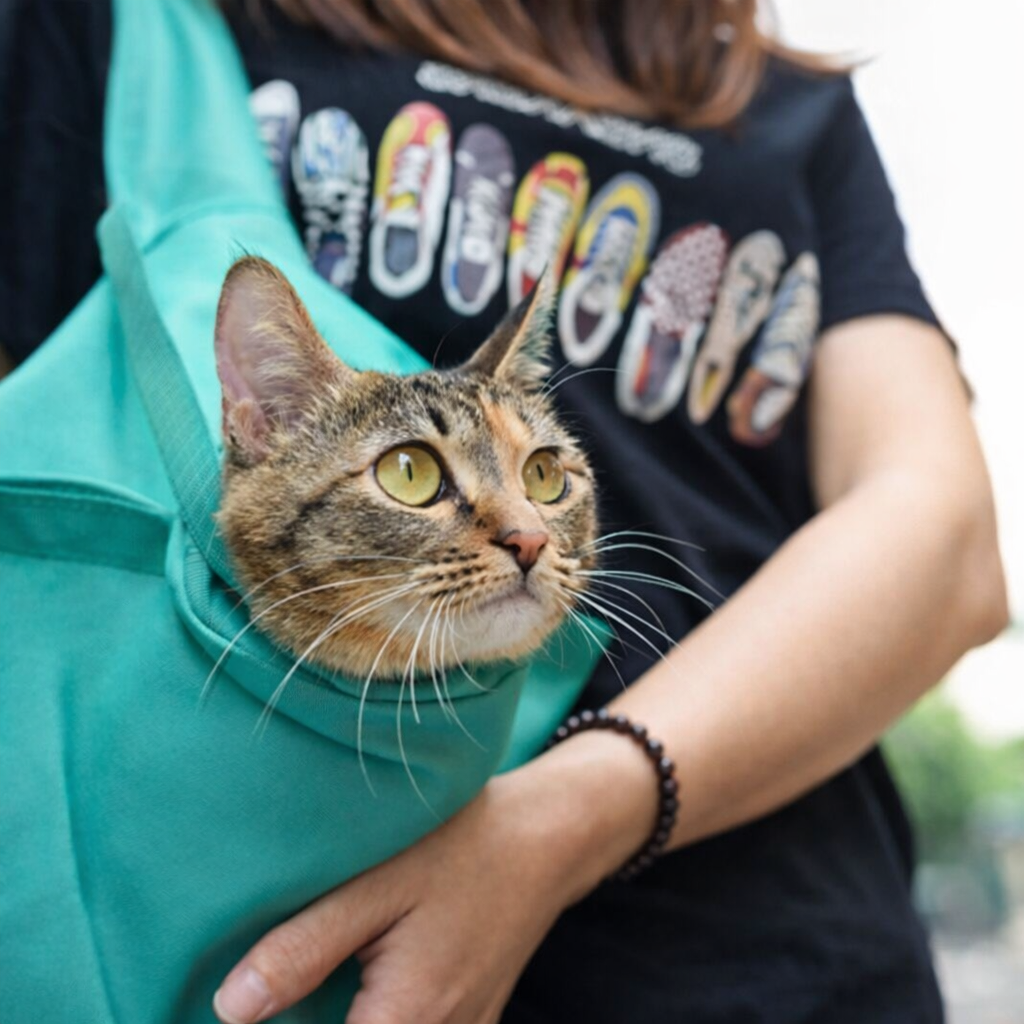 Cat & Puppy Shoulder Carrier