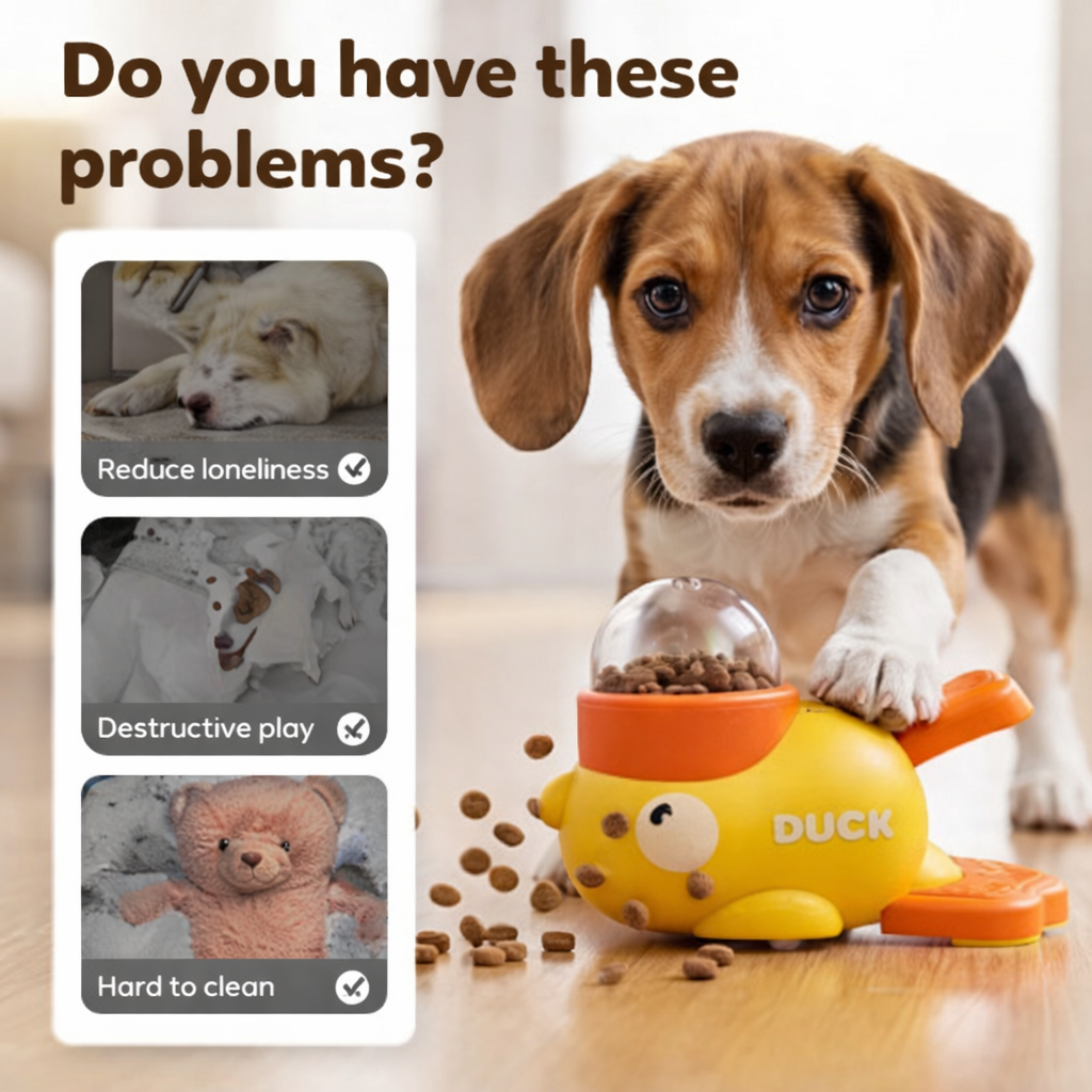 Dog & Cat Treat Dispenser Puzzle Toy