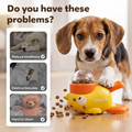 Dog & Cat Treat Dispenser Puzzle Toy