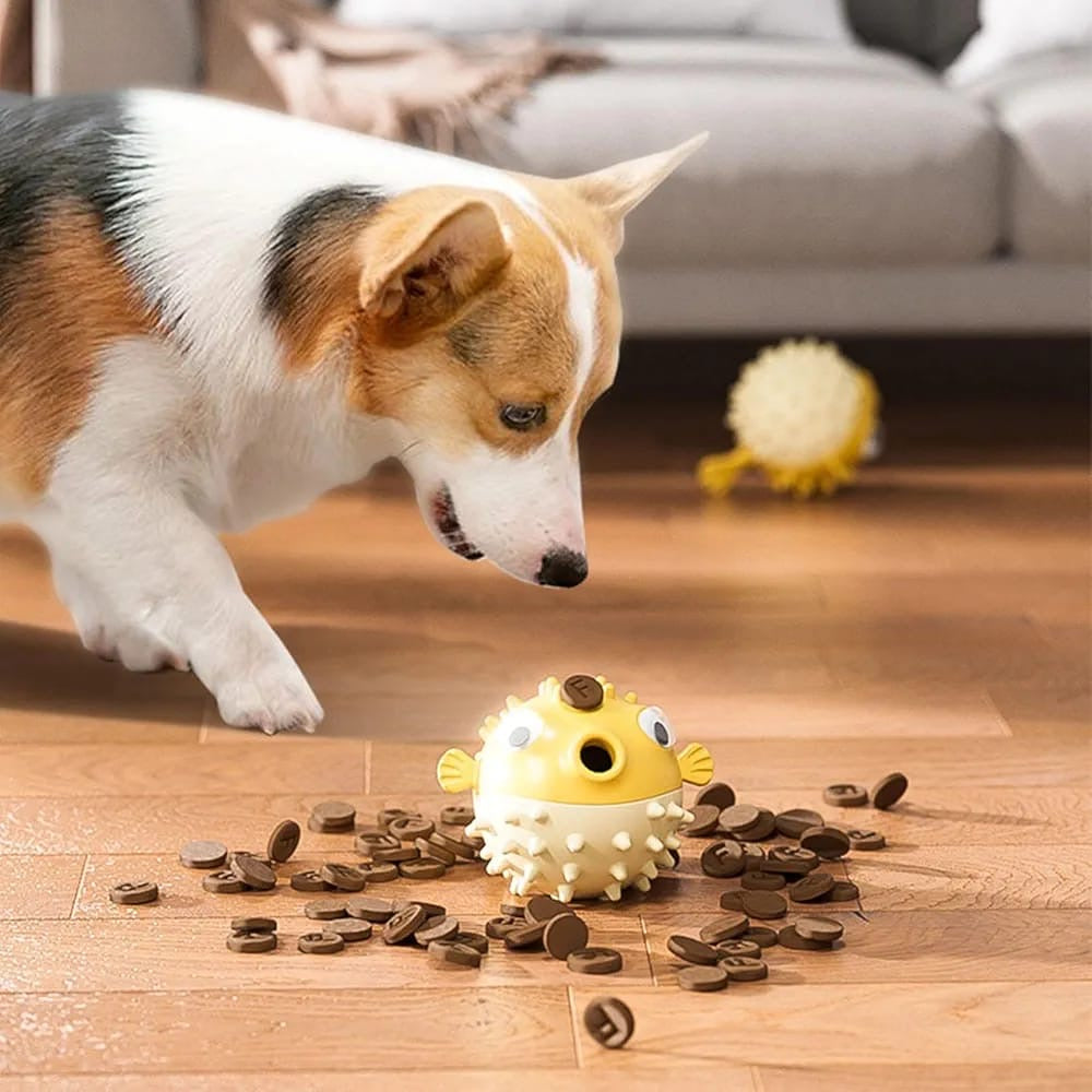 Bouncy Fish Treat Ball – Sound & Chew Toy for Dogs