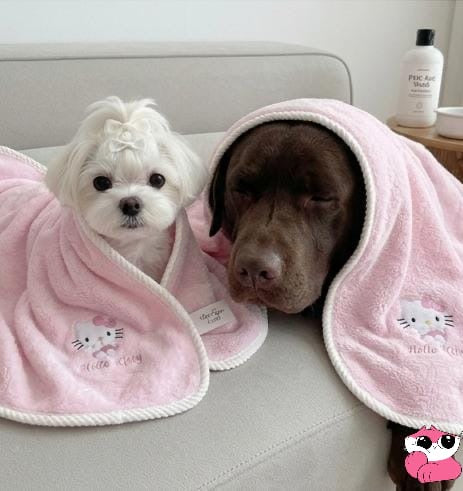 Microfiber Pet Towel