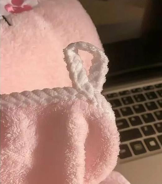 Microfiber Pet Towel