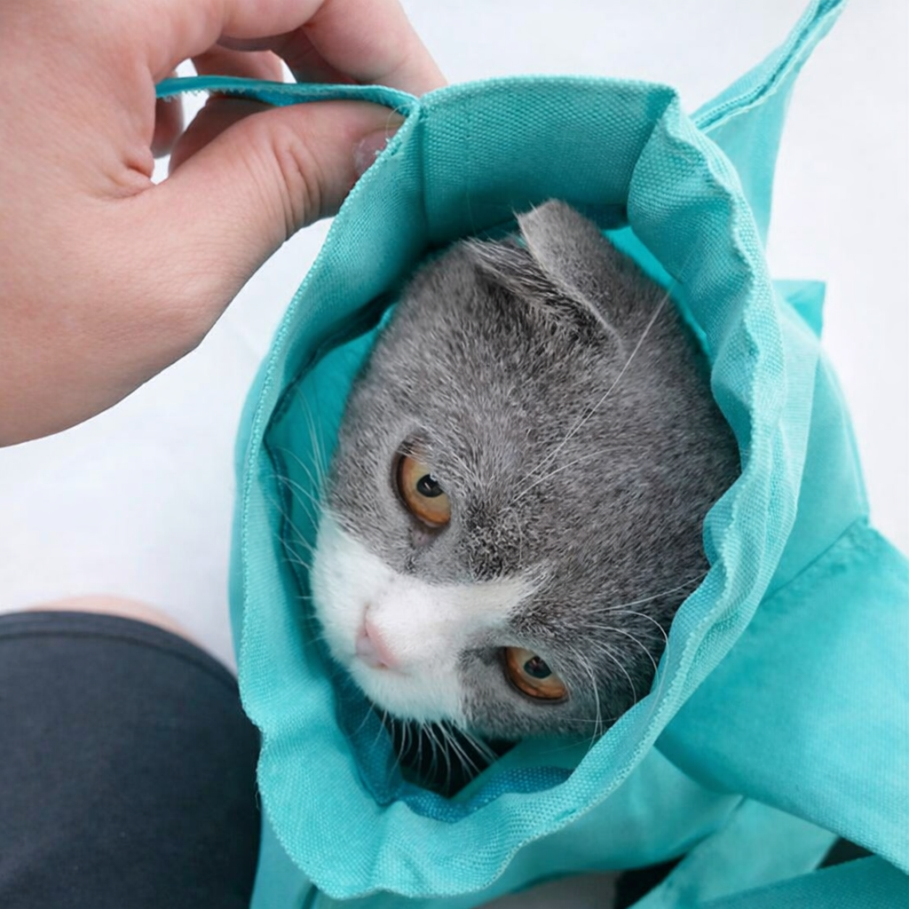 Cat & Puppy Shoulder Carrier