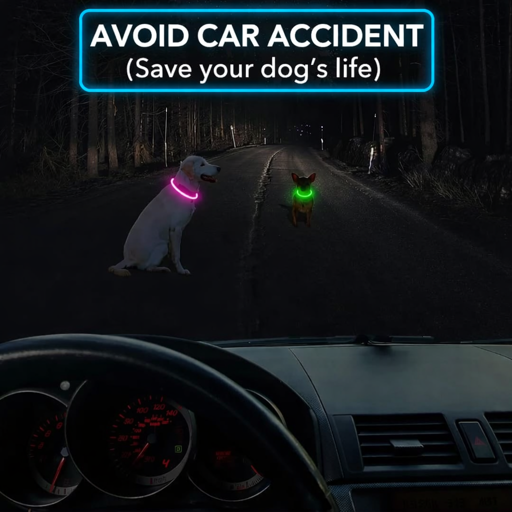 LED Dog Collar