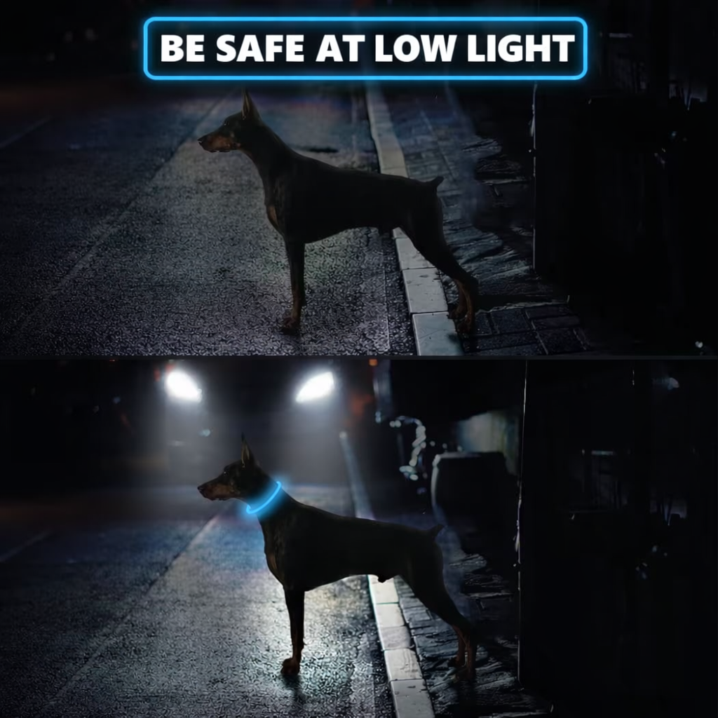 LED Dog Collar