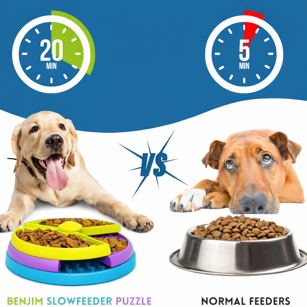Dog Puzzle Feeder – 3-Layer Interactive Slow Treat Dispenser