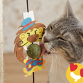 Catnip Hanging Toy (Pack of 2)